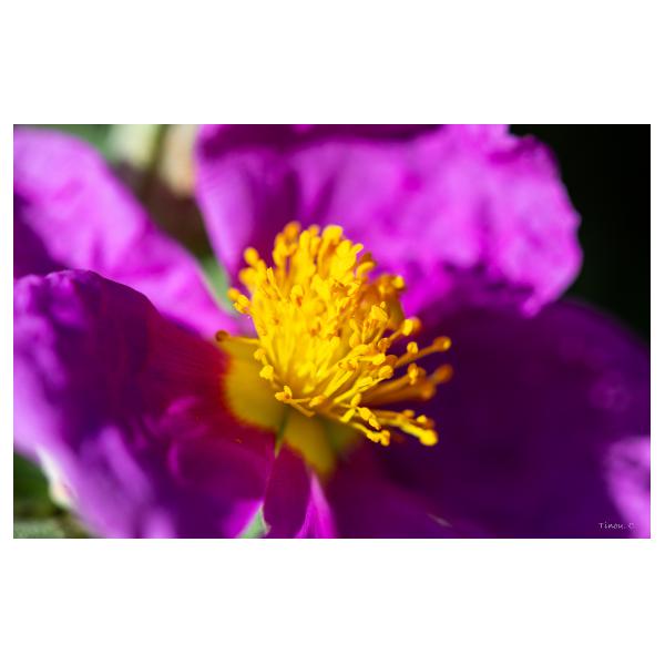 PHOTO84, CLUB, 84 , LUBERON